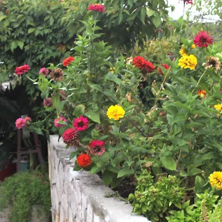 Дом отдыха House With A Parking Space Zrnovo, Korcula - 9213 Zrnovo