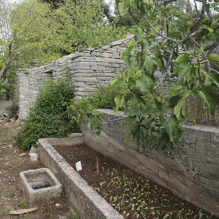 House With A Parking Space Zrnovo, Korcula - 9213 بيت للعطل *