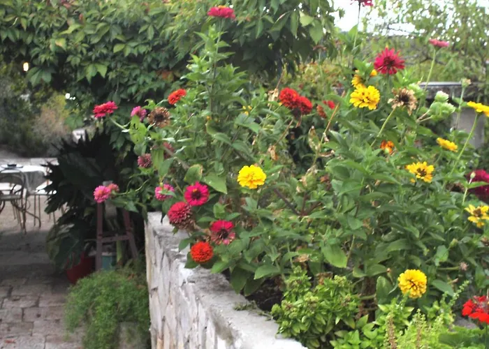 Dom wakacyjny House With A Parking Space Zrnovo, Korcula - 9213 Zrnovo